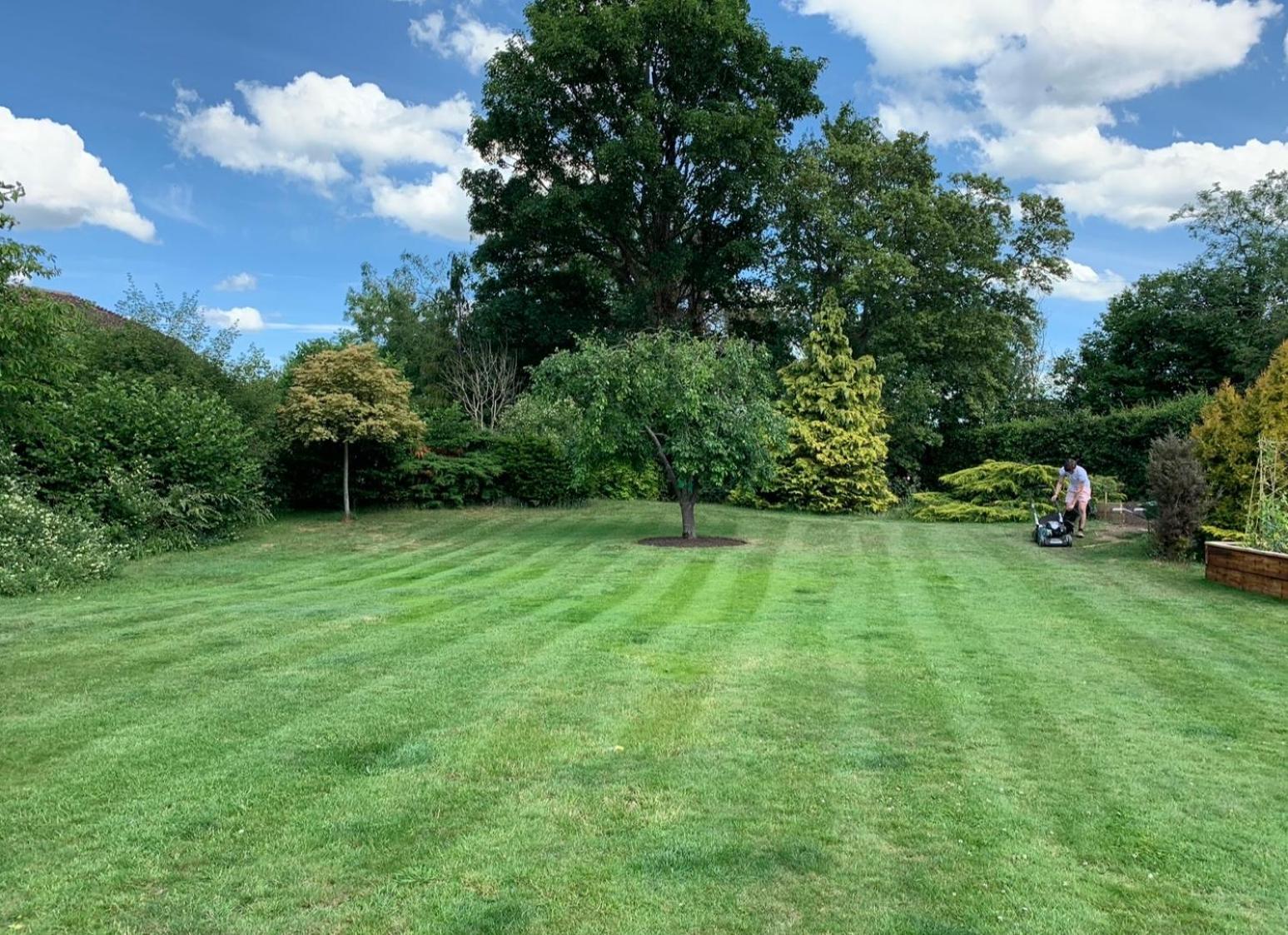 The Cottage Get Away Saffron Walden Eksteriør bilde