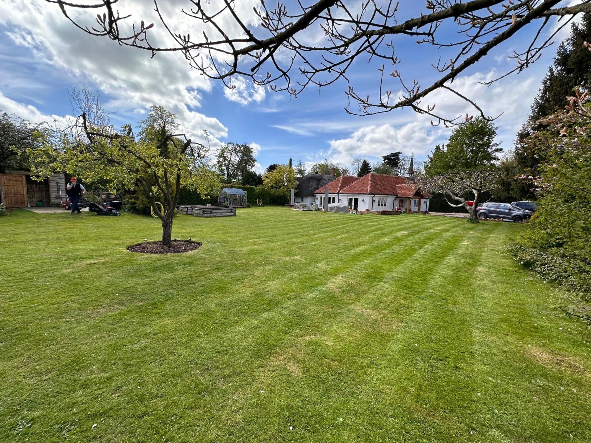 The Cottage Get Away Saffron Walden Eksteriør bilde